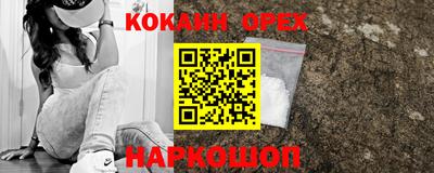 шишки Абакан