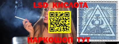 шишки Абакан