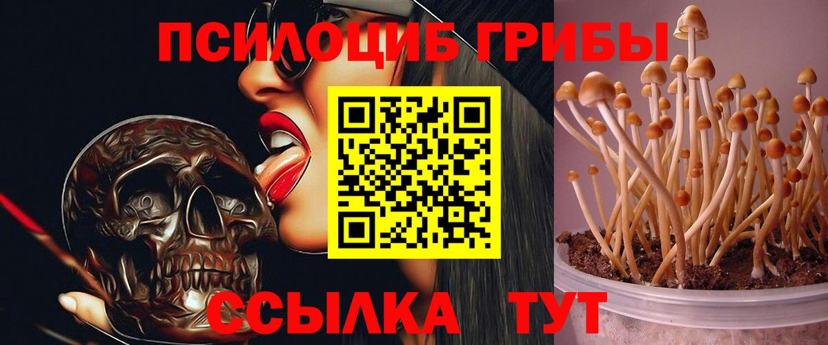 Галлюциногенные грибы MAGIC MUSHROOMS  Вход с VPN  Алексин  Псилоцибиновые грибы MAGIC MUSHROOMS 